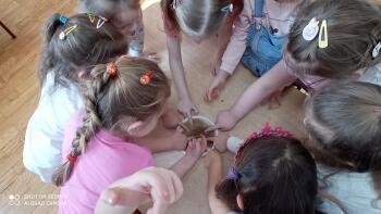 IMG_20210222_105256