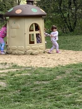 IMG_3286.jpeg