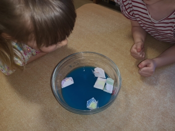 IMG-20250501-WA0015