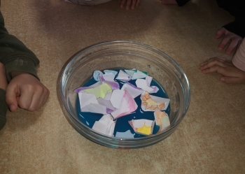IMG-20250501-WA0020