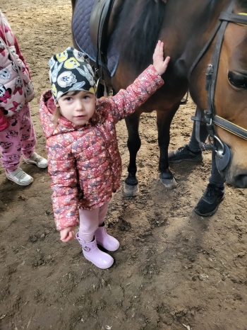 e4796f16-0f8a-47e1-837d-8a1e2b6d4182.jpeg