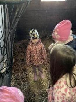 IMG_3479.jpeg