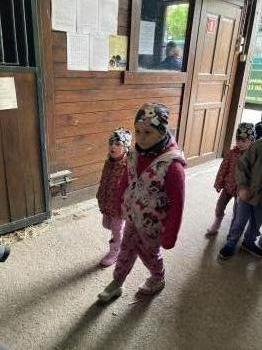 IMG_3477.jpeg