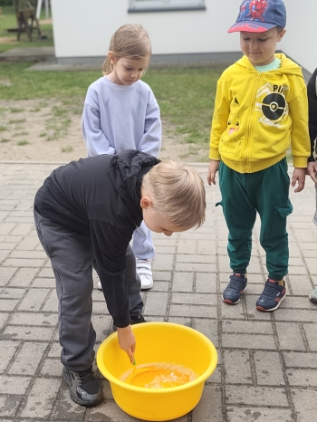 IMG_20250602_094731