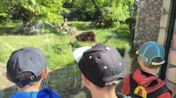 IMG_20250528_094604593_HDR