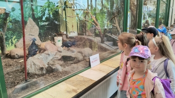IMG_20250528_095329051_HDR
