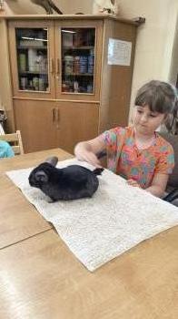 IMG_20250528_111343909