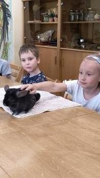 IMG_20250528_111546031