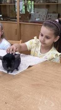 IMG_20250528_111555039