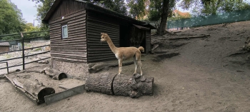 9d882bd9-515e-4330-ace9-3f27ea98b2d2