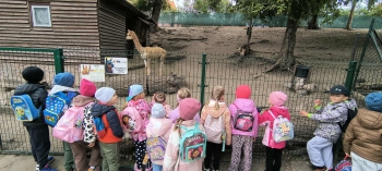 5677688a-4c33-43dc-a222-ceb6404a69eb