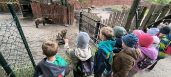 498bf5c2-caed-4feb-bc34-840475a1187a