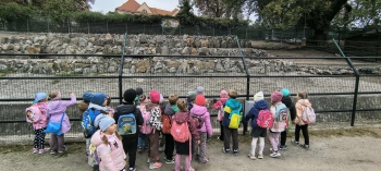 89194b8f-29d6-4f72-97df-b5f9be69d668