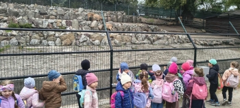 1fd80dde-a9ef-477e-b33c-0d30345c992c