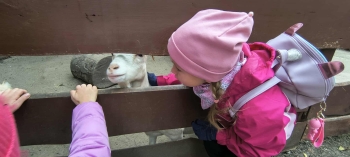 7eb6f1d0-9ab0-46d9-9ea7-fa5656b9ef04