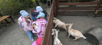 5ca2e5a3-3a5a-456c-a672-f48ec13a599e