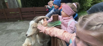 83020fa8-fc41-4816-a8f7-354d0095f837