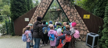 74ab1a07-451b-4f7c-bb35-bb4dca06f897