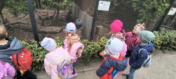 739376ee-9bc5-4987-aa21-bf86381a0306