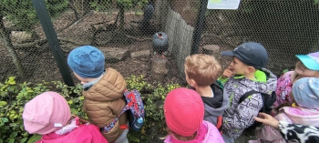 3eeef885-176d-453c-a710-48f9a58530d3