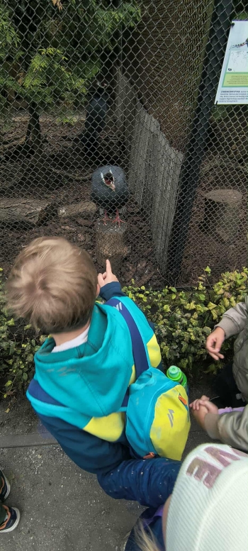 e55f8bcd-2f34-4ba6-855b-bf0ff50cd5aa