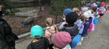 ae19983a-3a58-4ccb-8c1a-3f6b4711b899