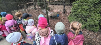 34f26a12-8920-4f8e-ac8e-937426a03e98