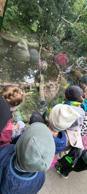 54e5de62-fe37-4529-84b0-4c7bb1f04926