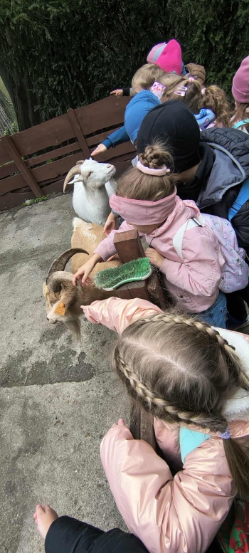 aa9ca711-382e-4475-913a-c41cfa6ec5b2