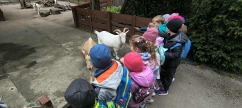 da097d93-ed4e-4e05-9504-82cacf826972