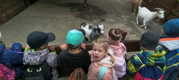 8ee38416-762e-4929-bc30-2109c7eb3486