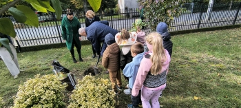 65d9d099-e200-43b9-b90e-7a5e168096e1