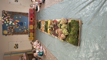 IMG_20251014_092758571