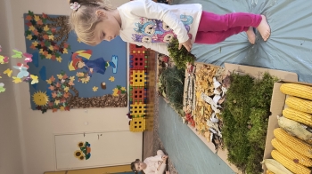 IMG_20251014_092845704_HDR