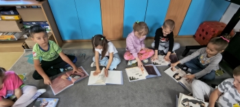 IMG_20251009_094012030_HDR