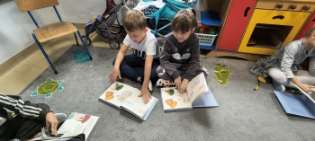 IMG_20251009_094026547_HDR