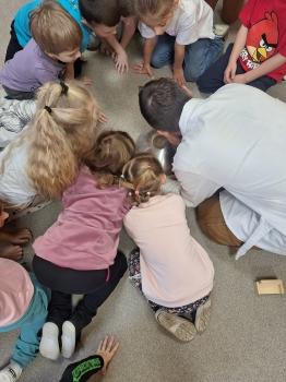 inbound5079573461210902035