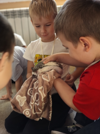 inbound6544000643740264810