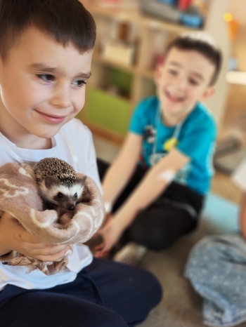 inbound8102231961367394926