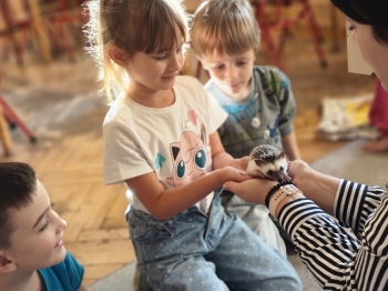 inbound3010530024936046181