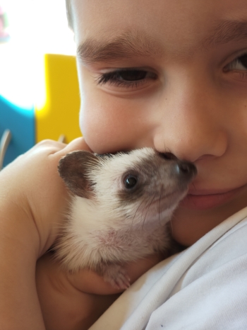 inbound8007028826055251031