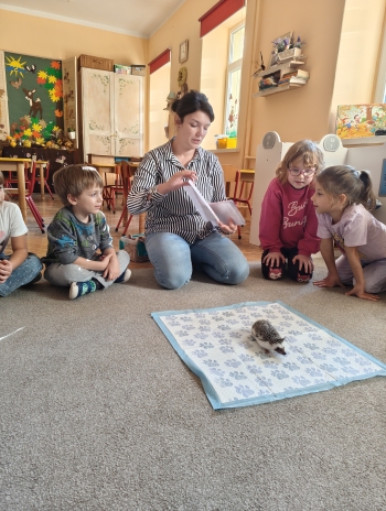 inbound4278958600129682120