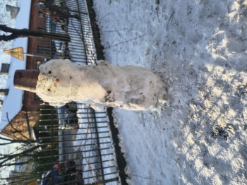 IMG_20251127_135104061_HDR_PORTRAIT