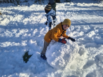 IMG_20251127_130631492_HDR_PORTRAIT