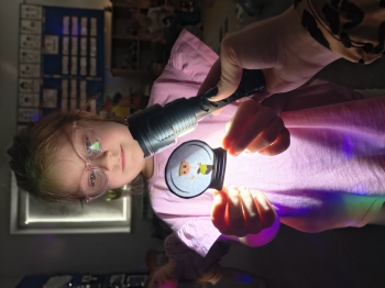 IMG_20251128_112808201_HDR_PORTRAIT