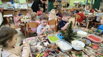 IMG_20251208_094540586_HDR