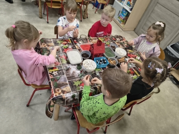 IMG_20251208_131600470_HDR