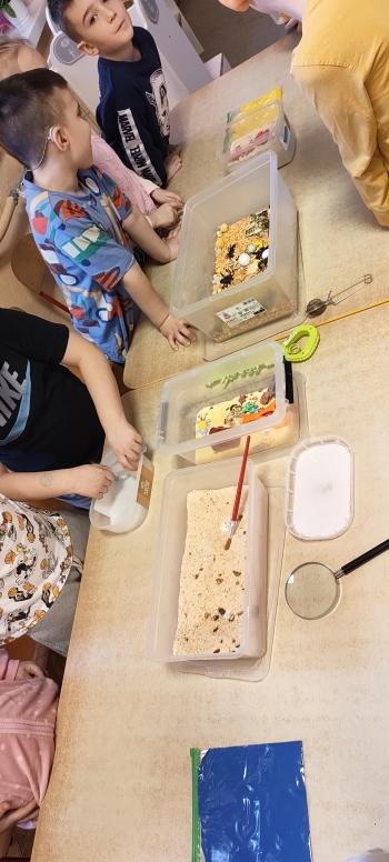 inbound7674195472277628120