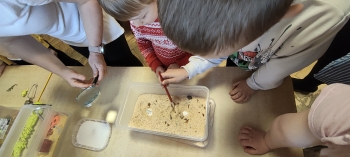 inbound2532383944086652481