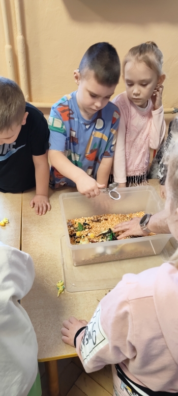 inbound338110374003822328